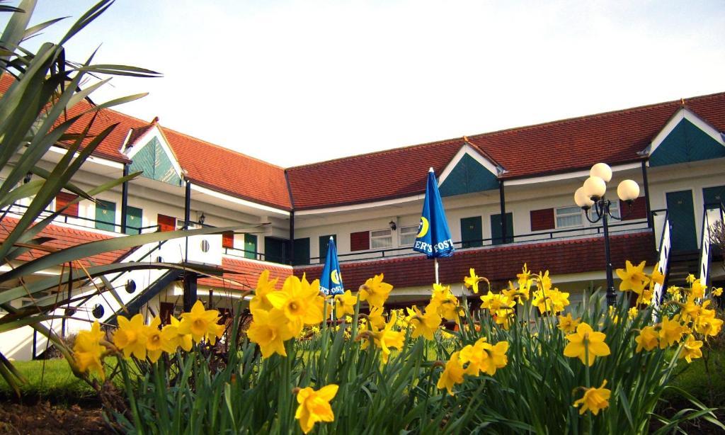The Town & Country Lodge Dundry Bagian luar foto